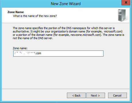 New DNS Zone Name